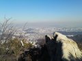 ۼ : 
ۼ : 12-11
 :  2016 12 10, 12 11...
 :   װ õ ־   2 øϴ. ̶ܿ ħ  ϱ  찡 Ȯ  Դϴ.

[img:IMG_20161210_105242.jpg,align=,width=2000,height=1200,vspace=0,hspace=0,border=1]

[img:IMG_20161210_105246.jpg,align=,widt...
