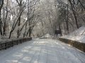 ۼ : 
ۼ : 02-06
 : 2013 2 6  ǻ õ ö󰡴 ...
 : ū     ׿. ^^;

[img:20130206_003.jpg,align=,width=960,height=720,vspace=0,hspace=0,border=0]
