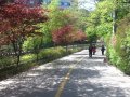 작성자 : 이윤찬
작성일 : 11-19
제목 : 넷북 바탕화면 봄 이미지2...
내용 : 넷북 바탕화면 봄 이미지 두번째 입니다. (관악산 생수천 주변 & 관악산 호수공원 가는 길)
