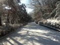 ۼ : 
ۼ : 12-06
 :      ǻ 1  ...
 : [img:20121206_003.jpg,align=,width=960,height=720,vspace=0,hspace=0,border=0]

[img:20121206_005.jpg,align=,width=960,height=720,vspace=0,hspace=0,border=0]

[img:20121206_006.jpg,align=,width=960...

