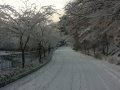 ۼ : 
ۼ : 02-06
 : 2013 2 6  ǻ õ ö󰡴 ...
 : ū     ׿. ^^;

[img:20130206_003.jpg,align=,width=960,height=720,vspace=0,hspace=0,border=0]
